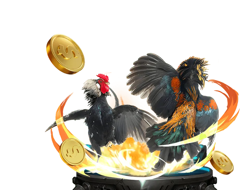 Hình ảnh minh họa về sự uy tín của Đá Gà Trực Tiếp C1